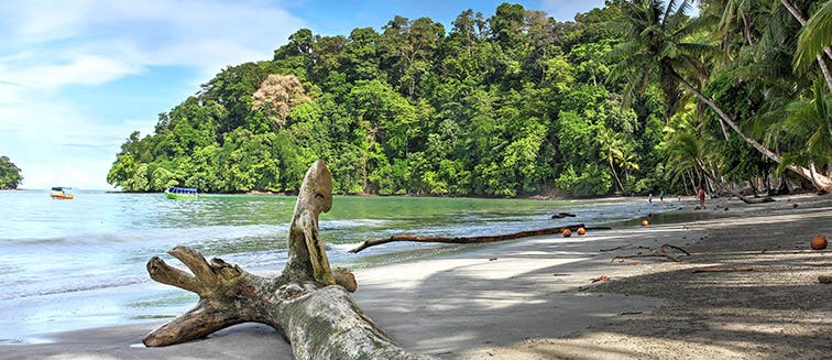 What to see in Panama Chiriqui National Marine Park