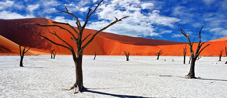 What to see in Namibia Deadvlei