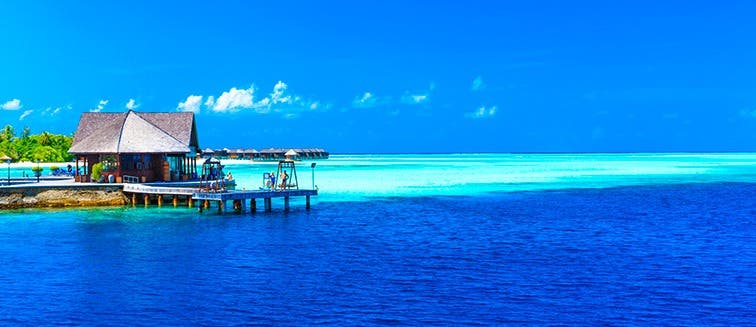 visit Maldives in January