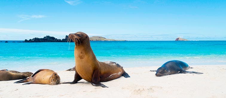 Galapagos Islands in March