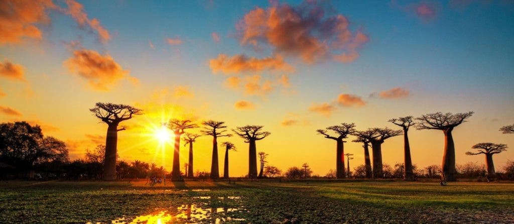 When is the best time to visit Madagascar